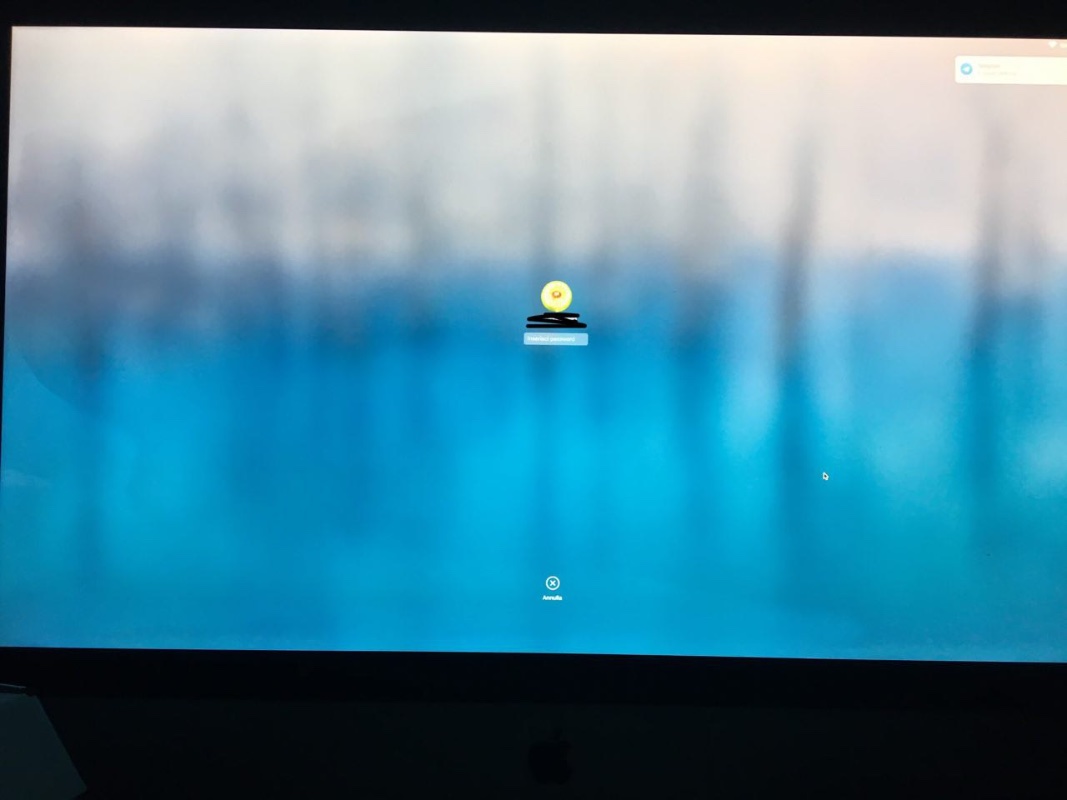 iMac 1.jpg